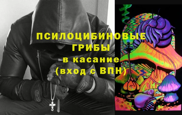 дживик Данков