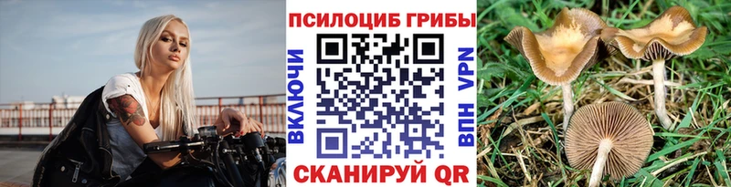 гидра   где найти наркотики  Козловка  Псилоцибиновые грибы Cubensis 