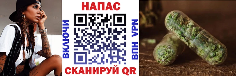 Бошки марихуана ГИДРОПОН  ОМГ ОМГ как зайти  Козловка 